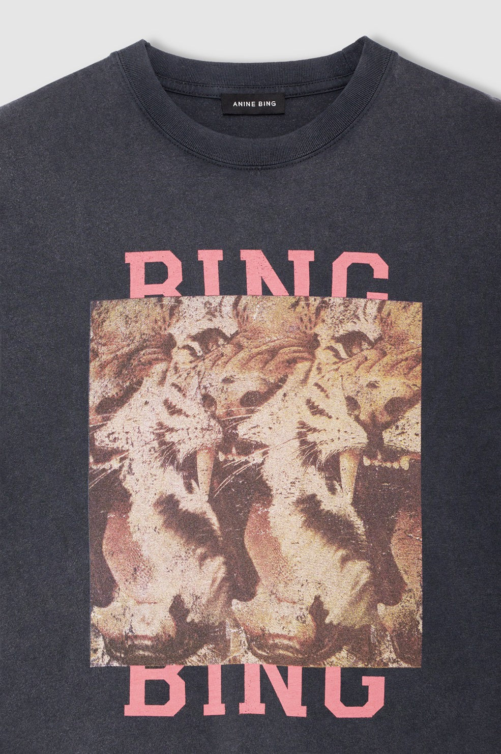 Cade Tee Tiger Bing - Washed Black