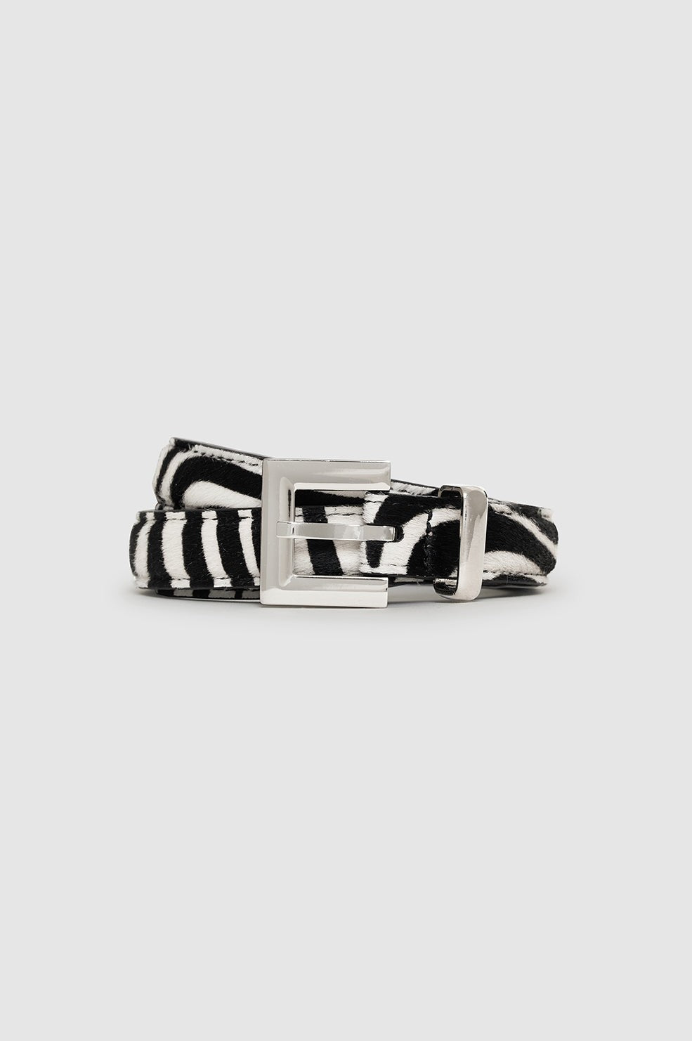 Nicola Belt - Zebra