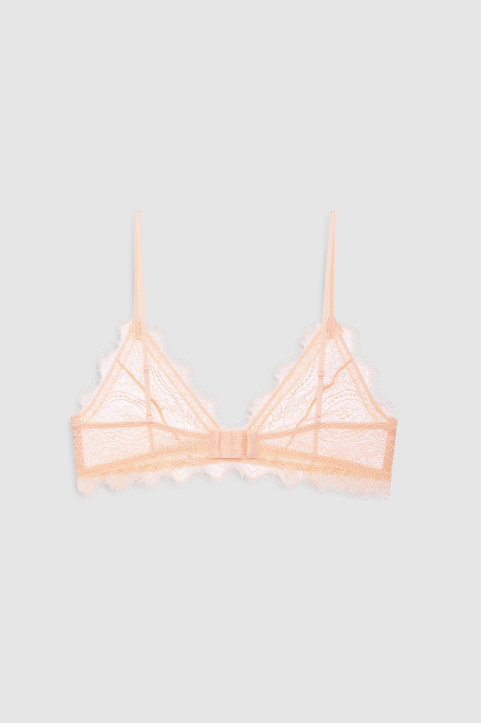 Lace Bra With Trim - Blush